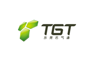 tgt-dg-milestone-logo